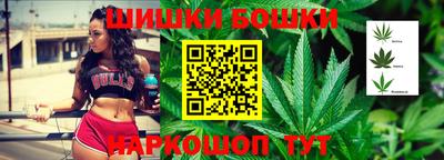 индика Аргун