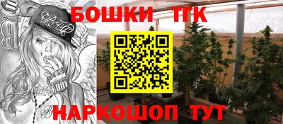 индика Аргун