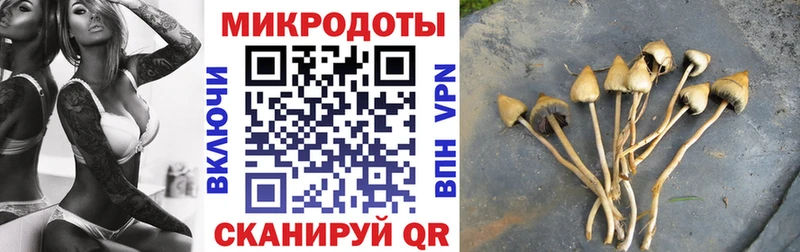 MEGA как войти Красноармейск Галлюциногенные грибы MAGIC MUSHROOMS