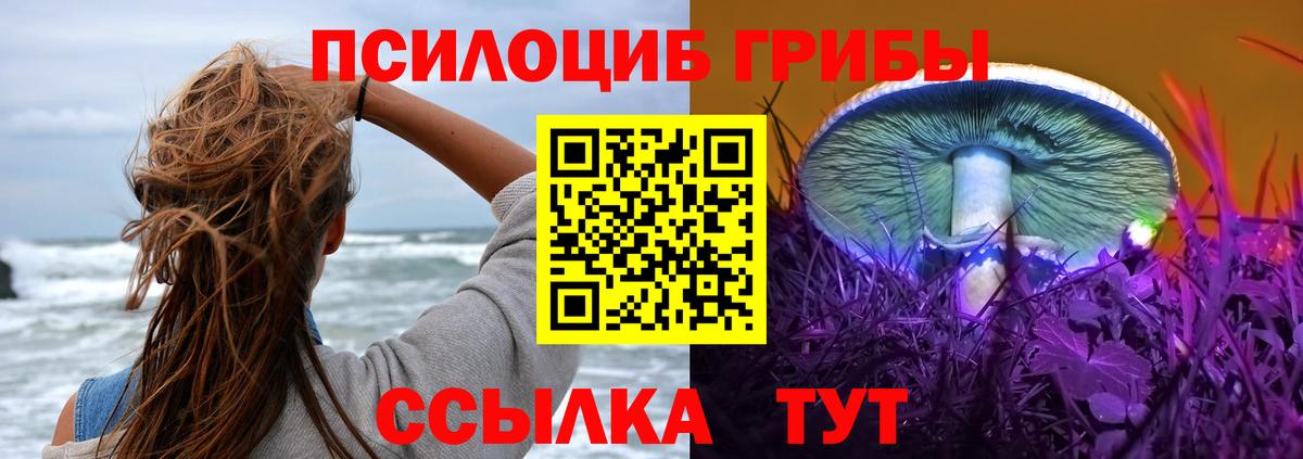 Галлюциногенные грибы прущие грибы  Красноармейск 